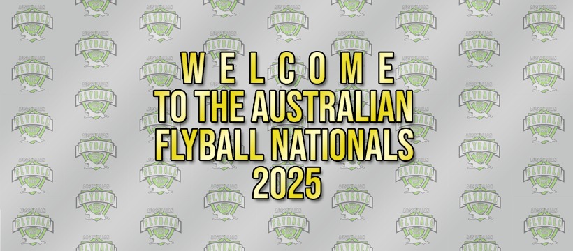 Flyball Nationals 2025