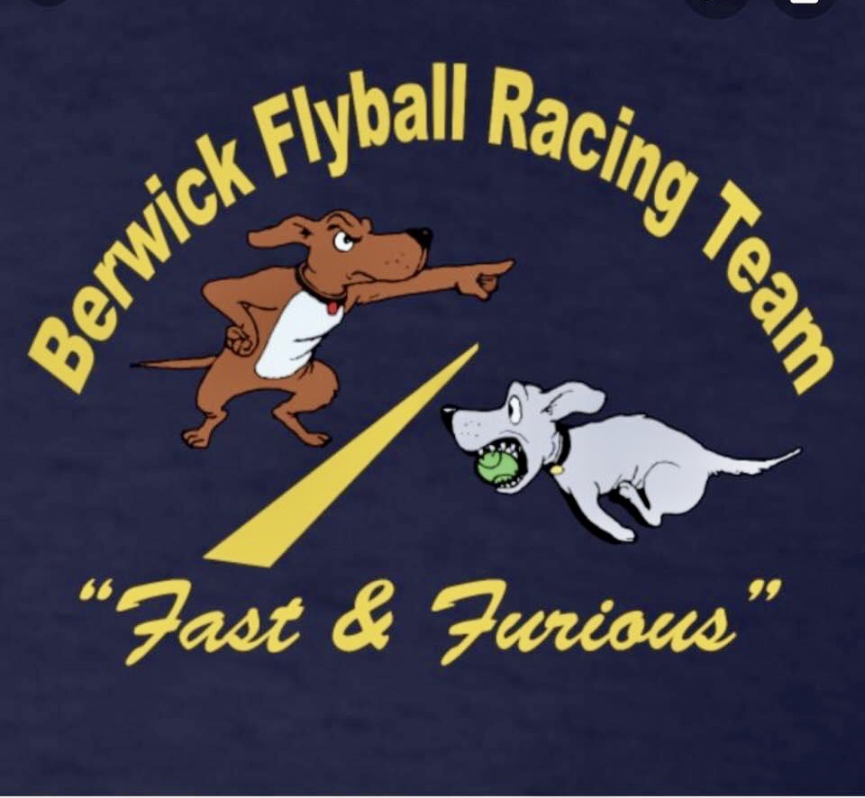 Berwick Flyball logo