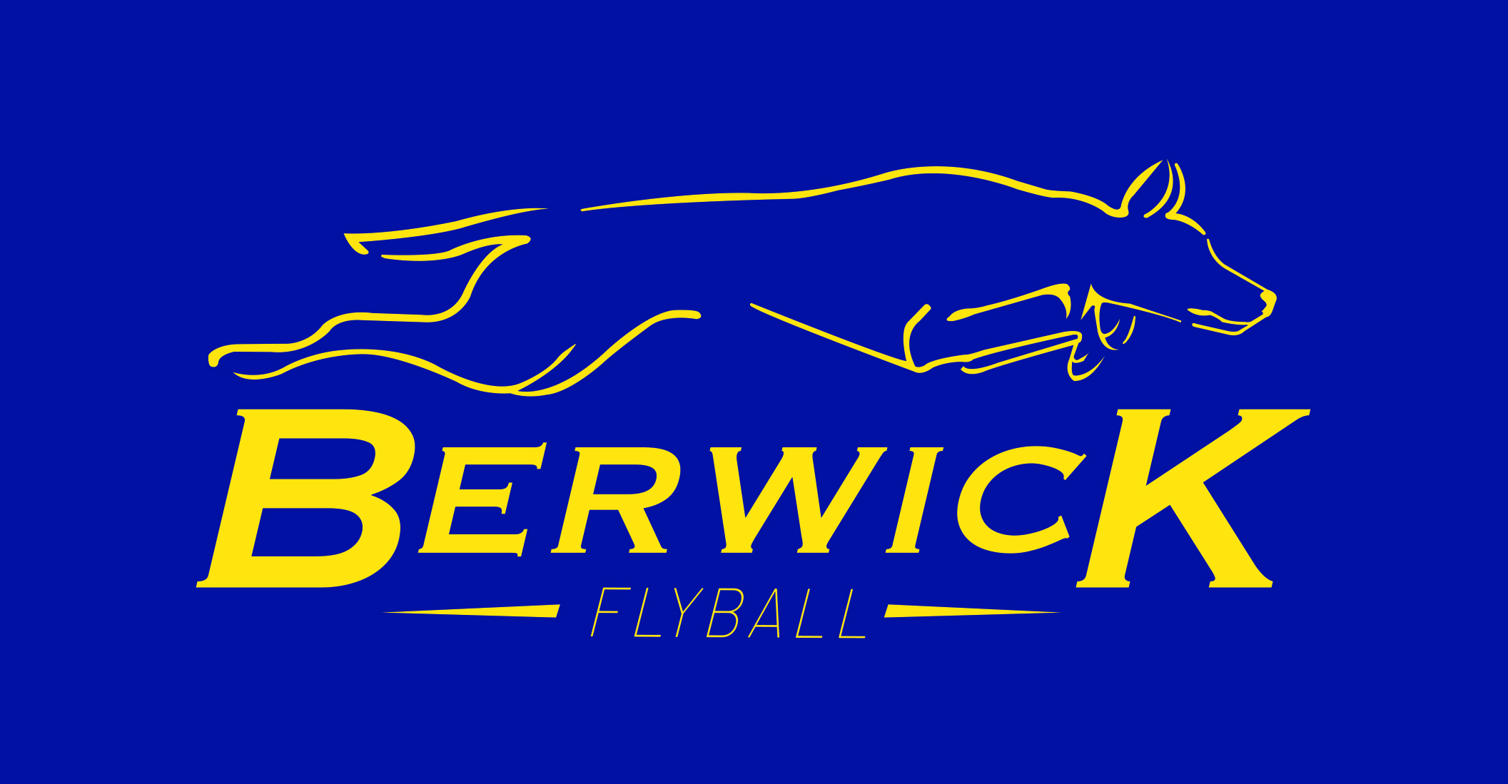 Berwick Flyball logo