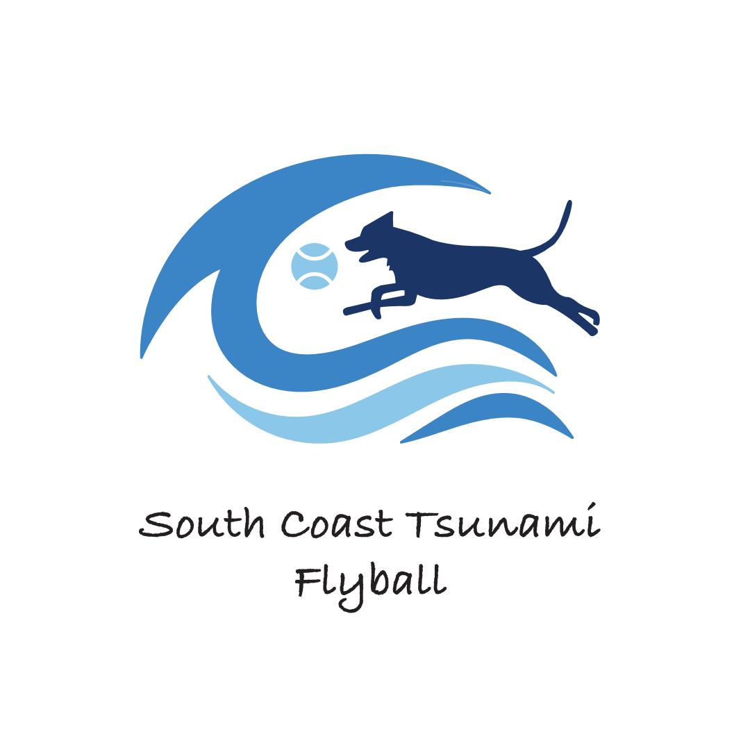 South Coast Tsunami Flyball logo