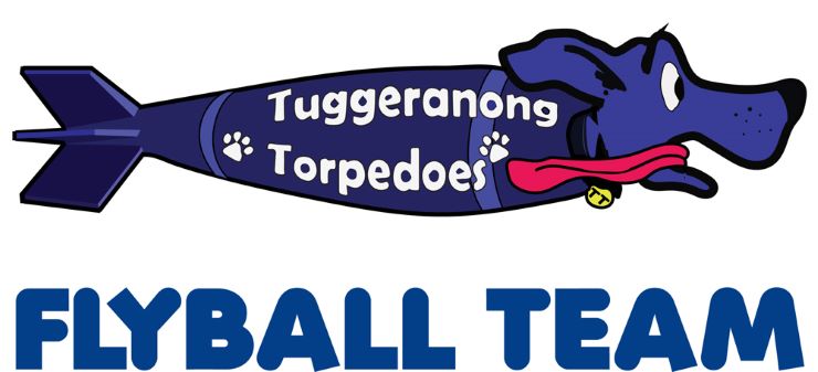 Tuggeranong Torpedoes logo