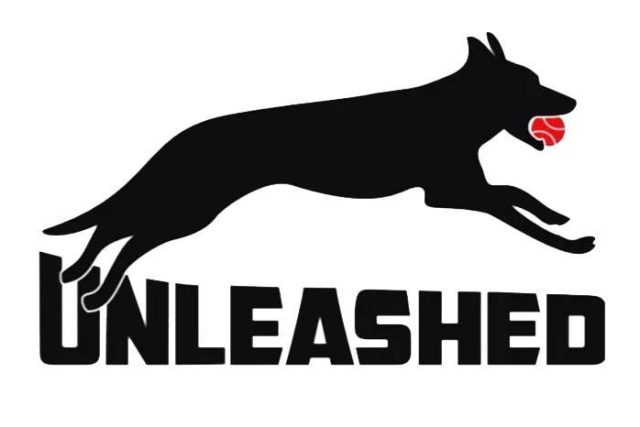 Unleashed Flyball Club Inc logo
