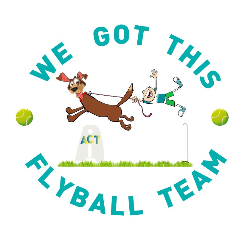We Got This Flyball Team logo