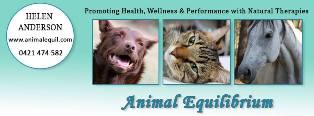 Animal Equilibrium sponsor