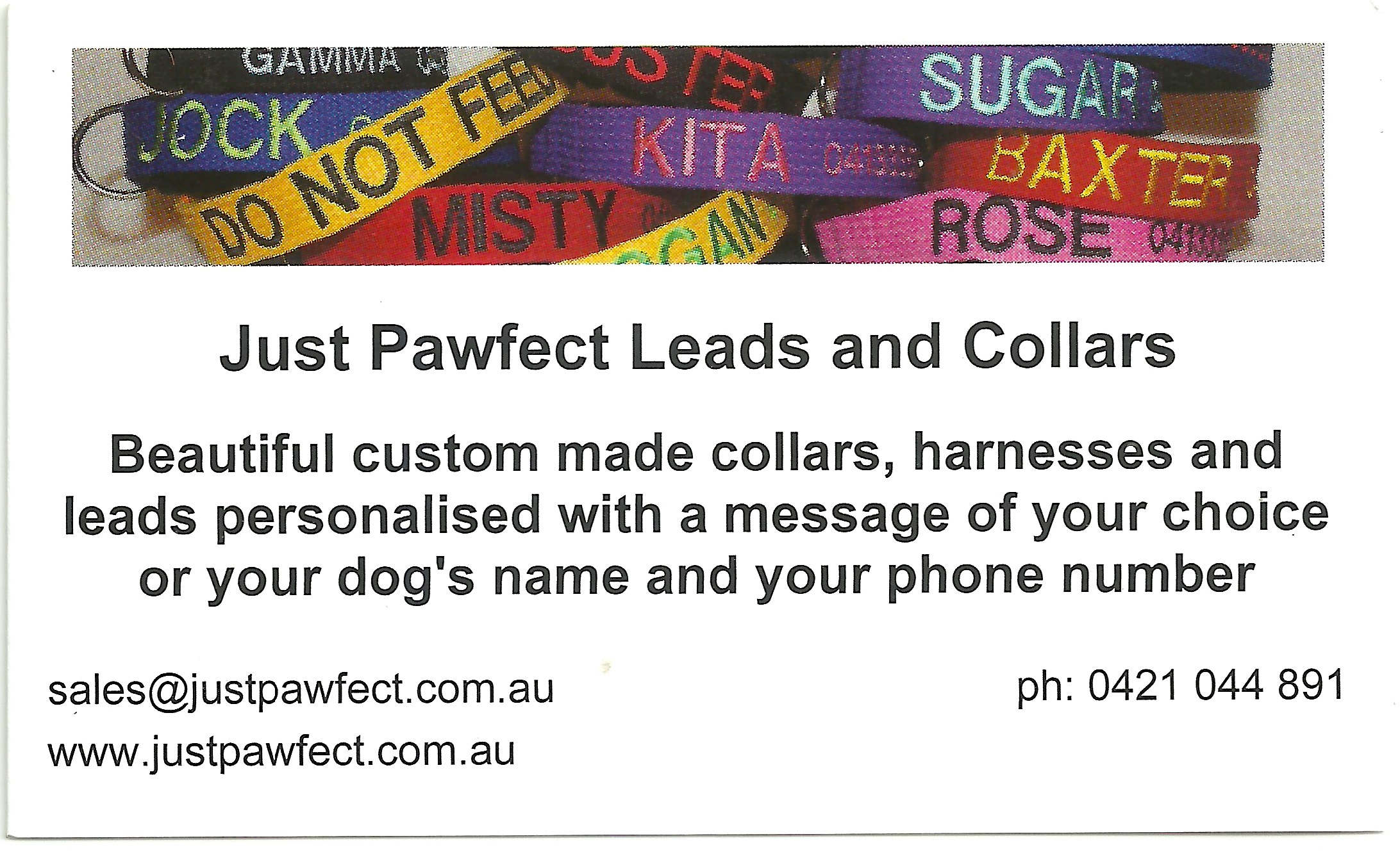 Just Pawfect Leads and Collars