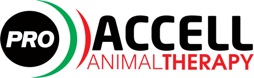 Accell Therapy