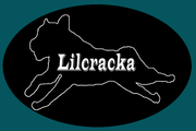 Lilcracka